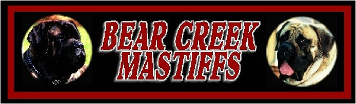 bearcreeknewlogo.jpg